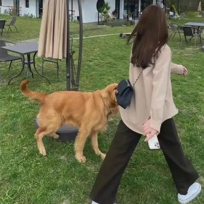 企鹅·布鲁姆